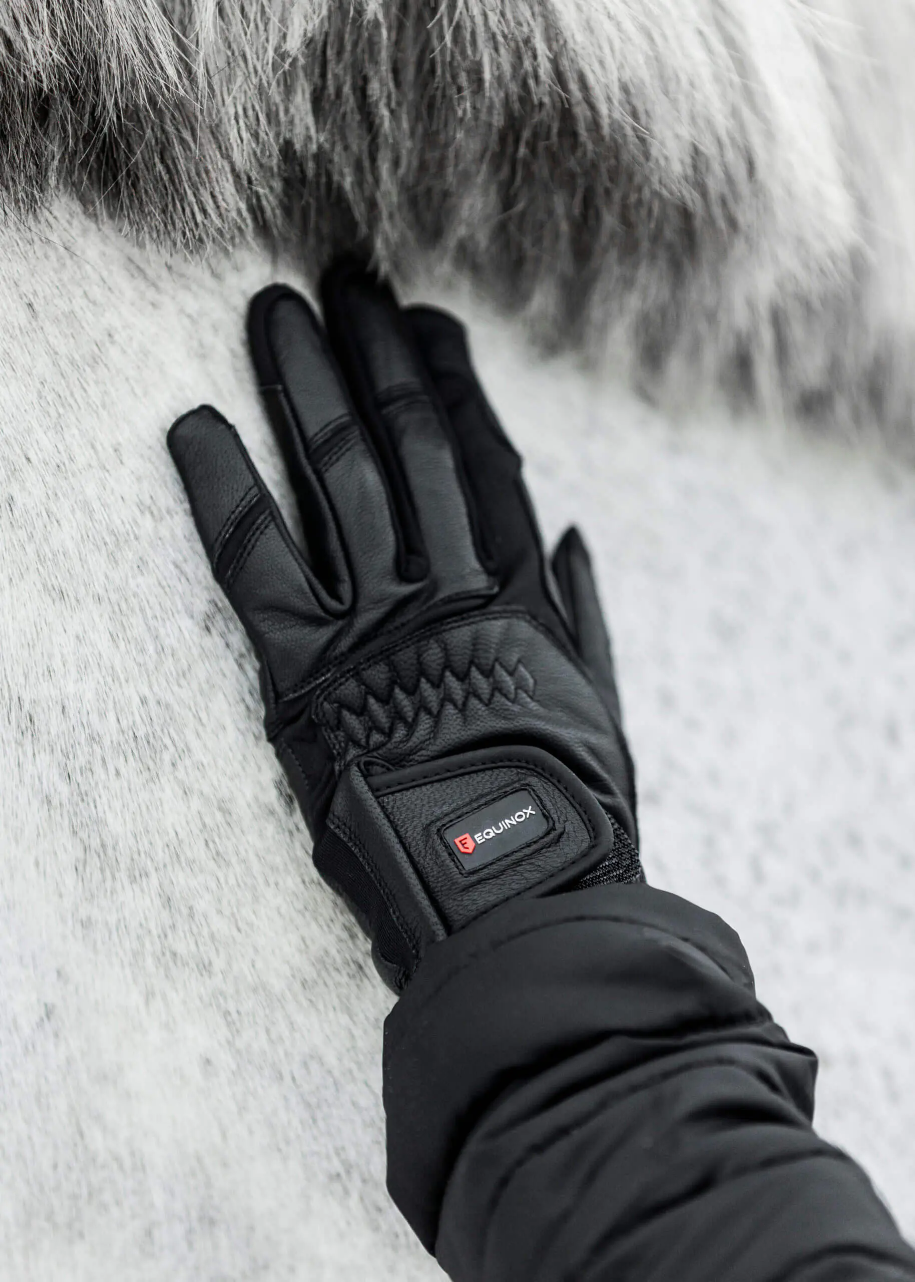 Winter Riding Gloves - Image 3