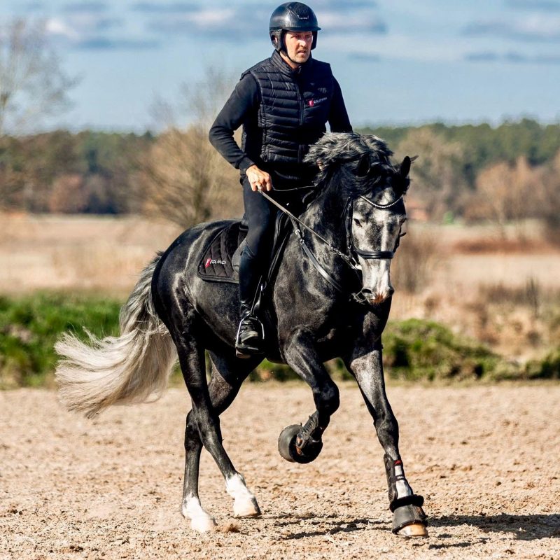 WhatsApp Image 2026-03-12 at 17.49.31 (7)